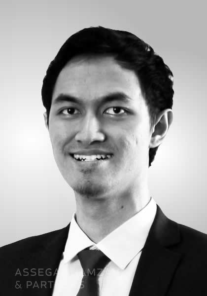 Felix Vincent Wahyudi Wijayanto